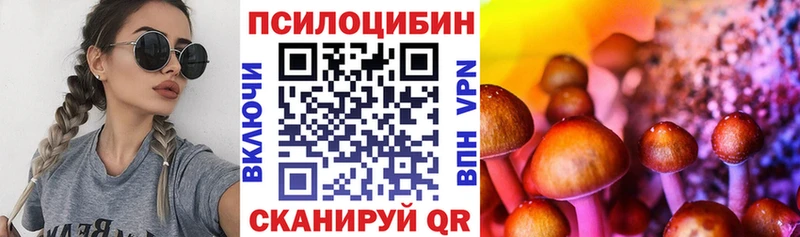 Псилоцибиновые грибы Psilocybine cubensis Александровское